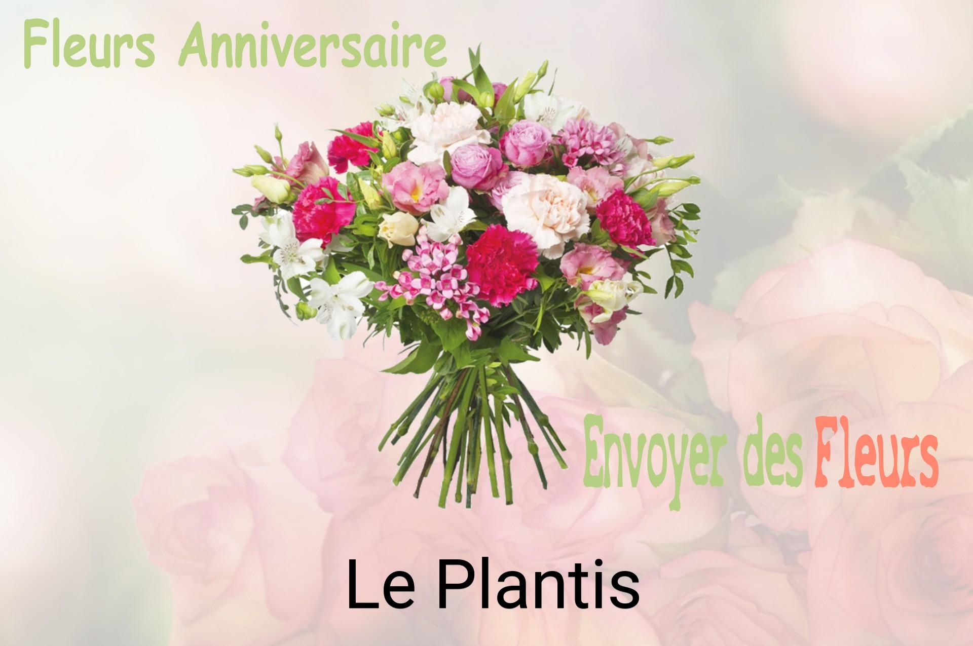 Bouquet de fleurs d’anniversaire livré à Le Plantis