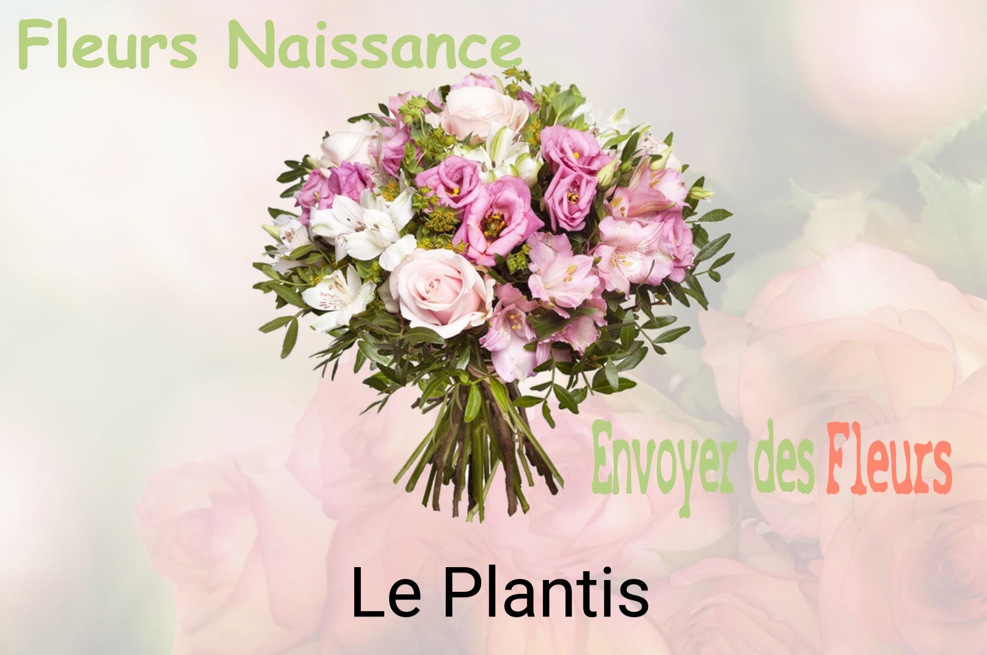 Bouquet de fleurs de naissance livré à Le Plantis