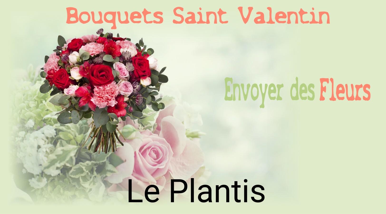 Roses de Saint-Valentin livrées à Le Plantis