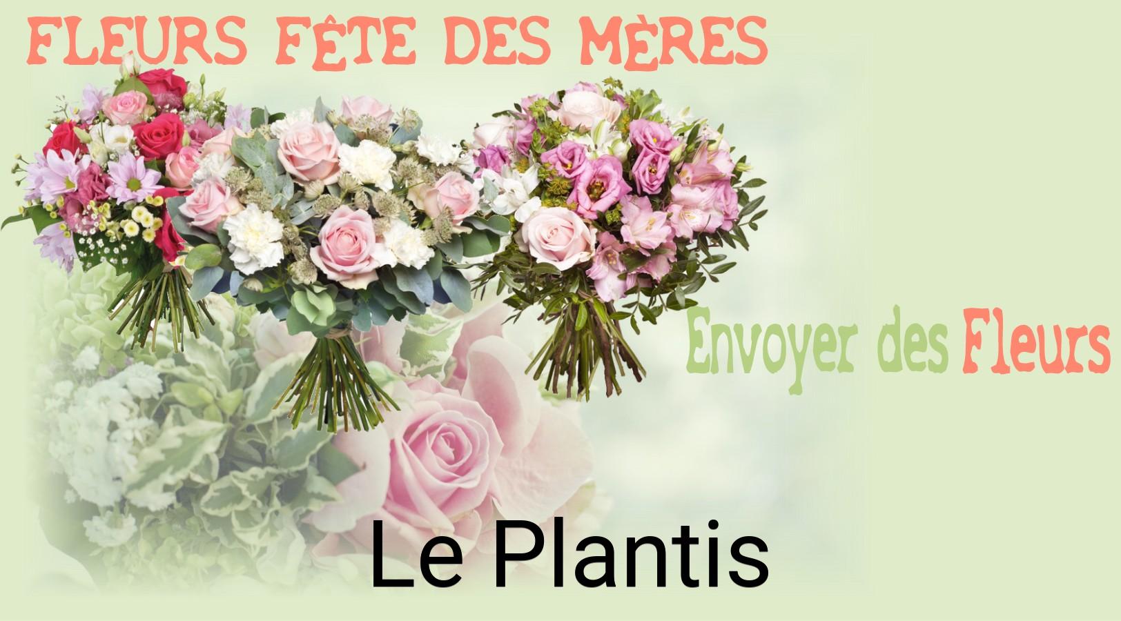 Bouquet de Fête des Mères livré à Le Plantis